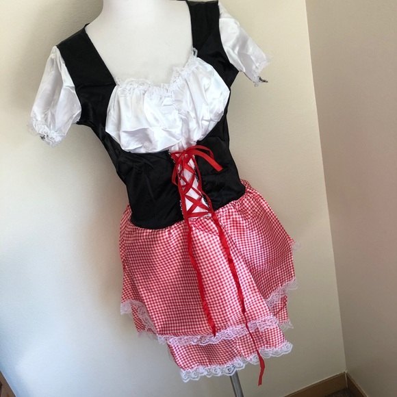Beautiful Red Checkered Tyrolean Dirndl Dress - Picture 4 of 9